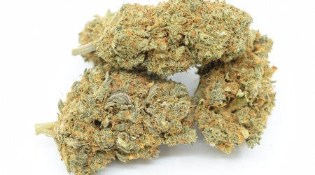 Fleur CBD - Critical