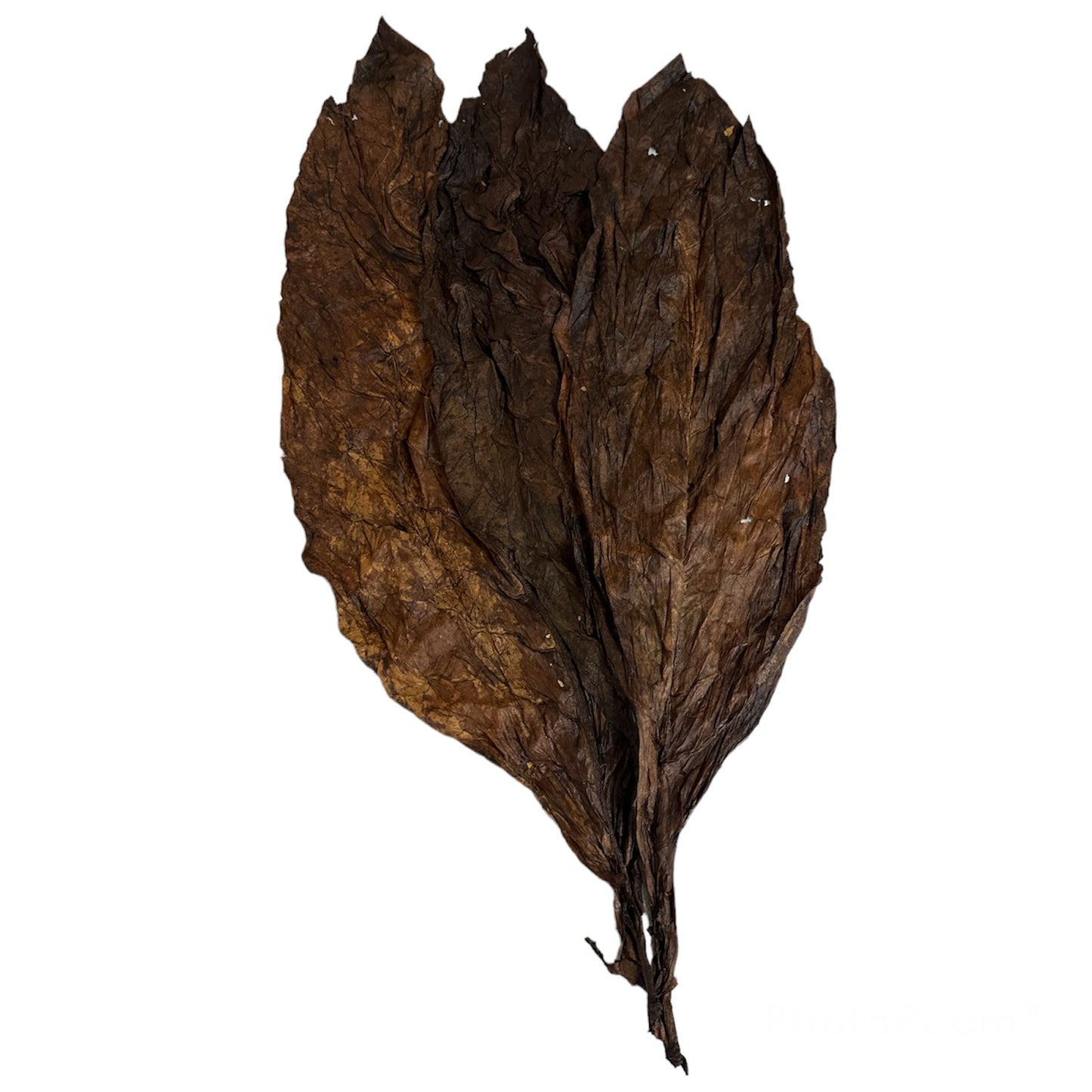 feuilles de tabac kentucky fumé fort autotabac - autotabac