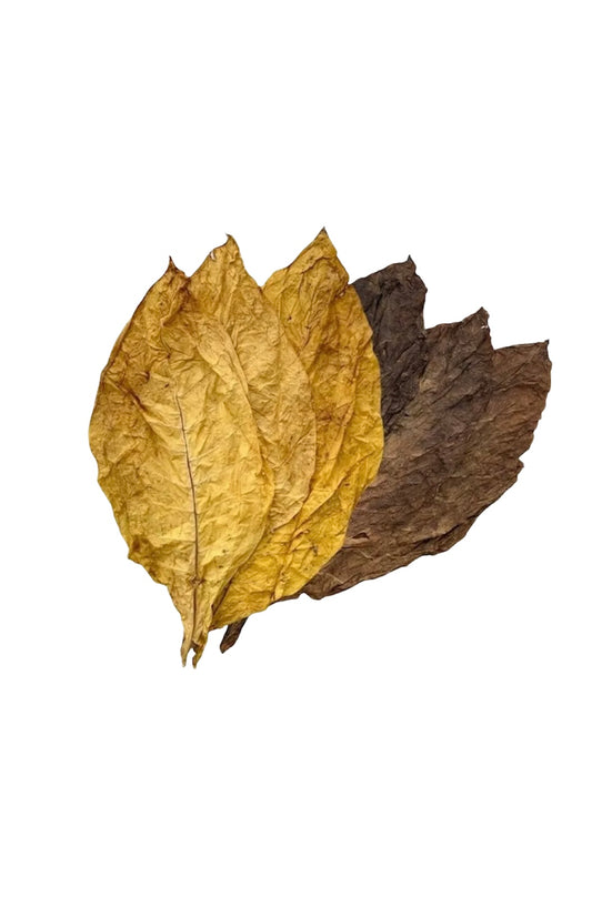 Mélange feuilles de tabac Virginie jaune et burley