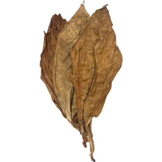 feuilles de tabac Oriental