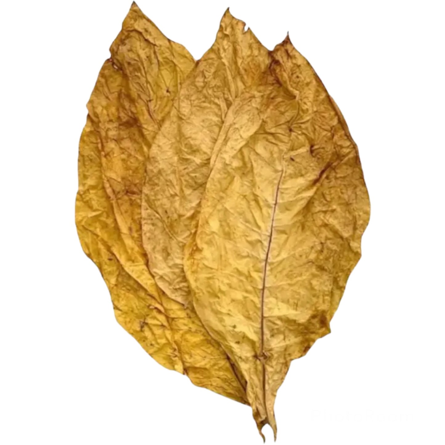 feuilles de tabac Virginie jaune - autotabac