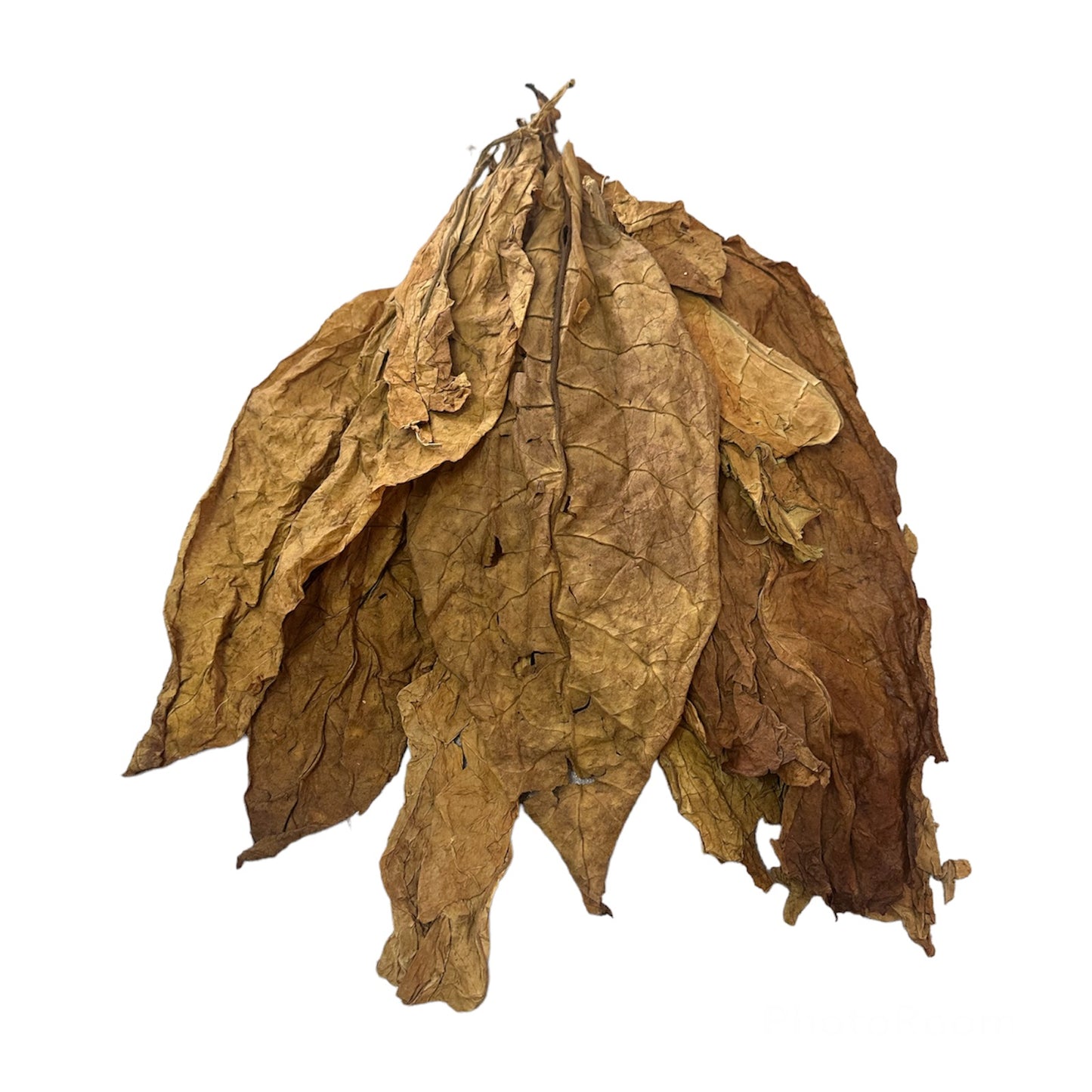 feuilles de tabac Oriental - autotabac